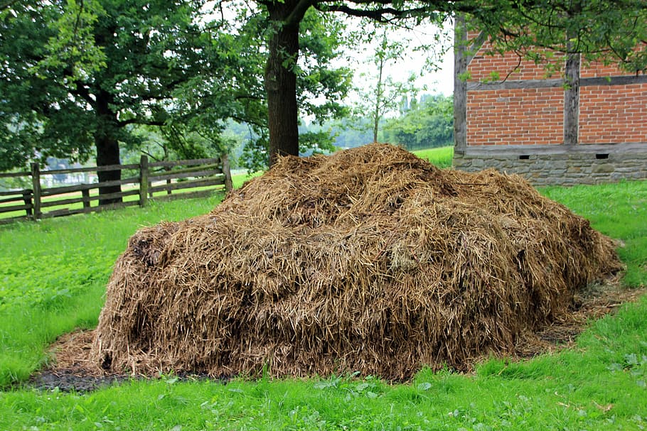 landscape, bauer, farm, crap, dung, plant, hay, grass, bale HD wallpaper