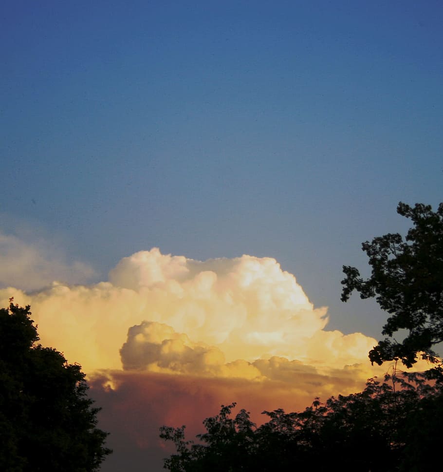 Cloud, Cumulus, White, Light, Puffy, big, blue sky, trees, sunset HD wallpaper