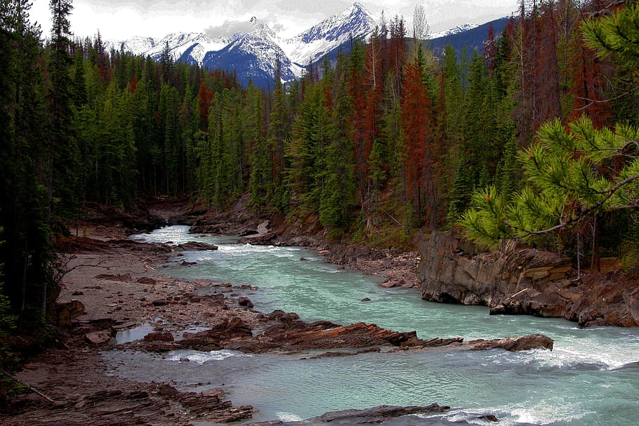 photo of river and forest, landscaper, mountain range, trees HD wallpaper