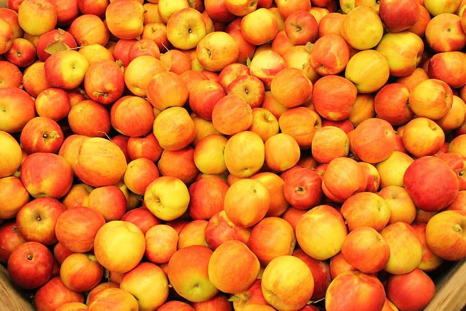 Red Apple, Fruit, Food, apples, nature, healthy, diet, fresh HD wallpaper
