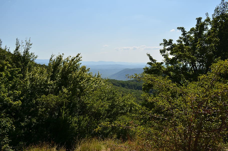 crimea, mountains, nature, plant, tree, sky, beauty in nature HD wallpaper
