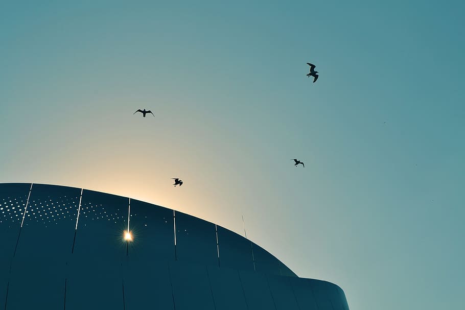 Sunset, Birds, Flying, Silhouette, sky, architecture, blue HD wallpaper