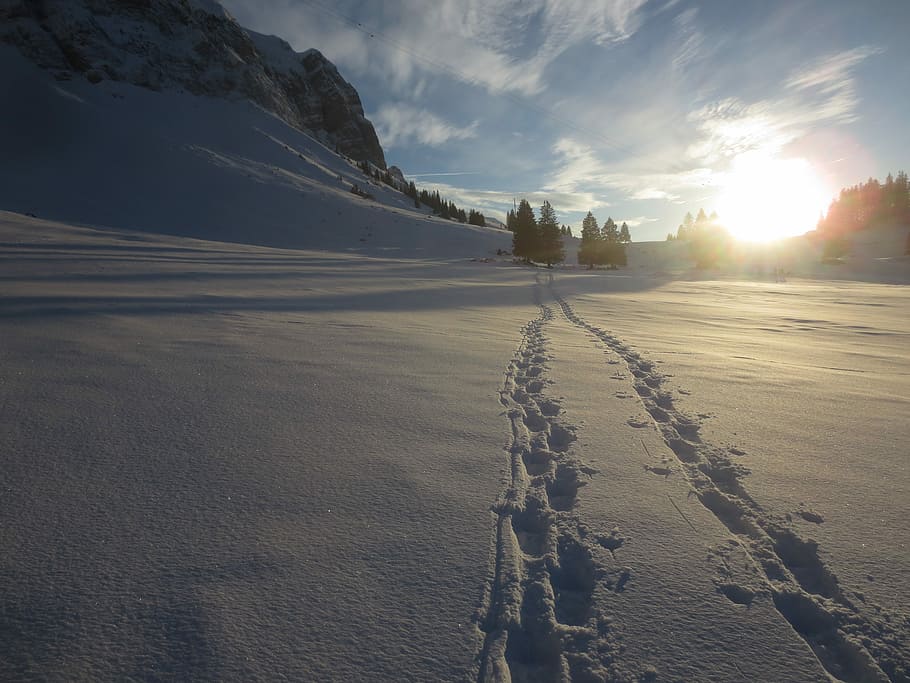 Snow, Tracks, Wintry, Trace, snow tracks, winter, cold temperature HD wallpaper