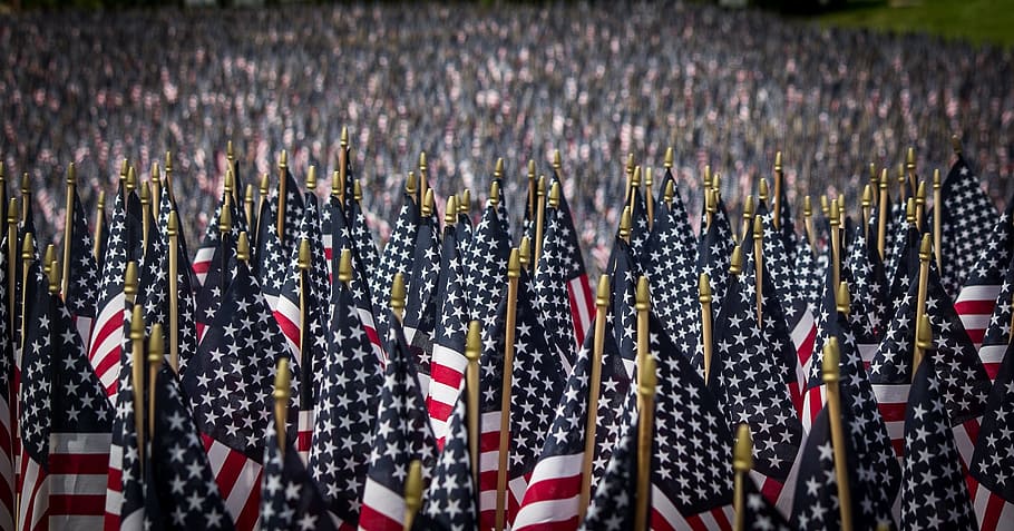 Memorial Day Background Stock Photos, Images and Backgrounds for Free  Download