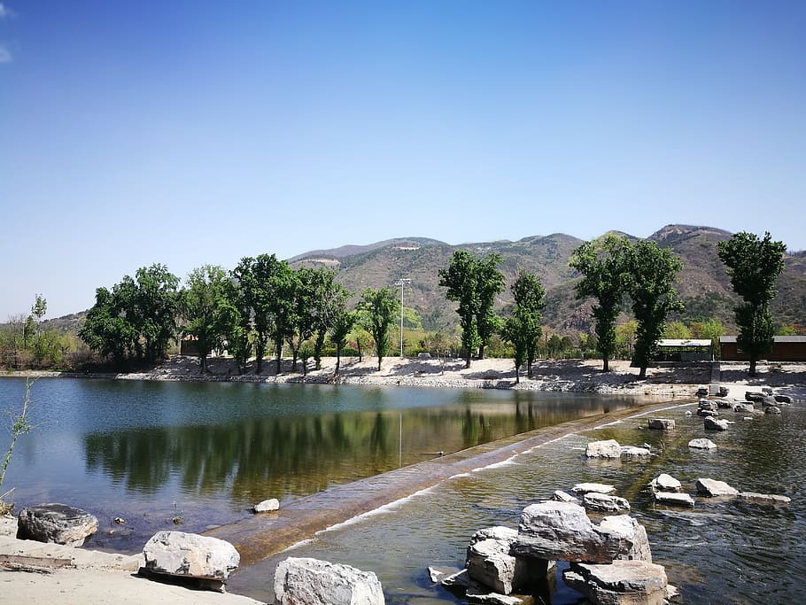 water, river, the scenery, tree, sky, plant, clear sky, nature HD wallpaper