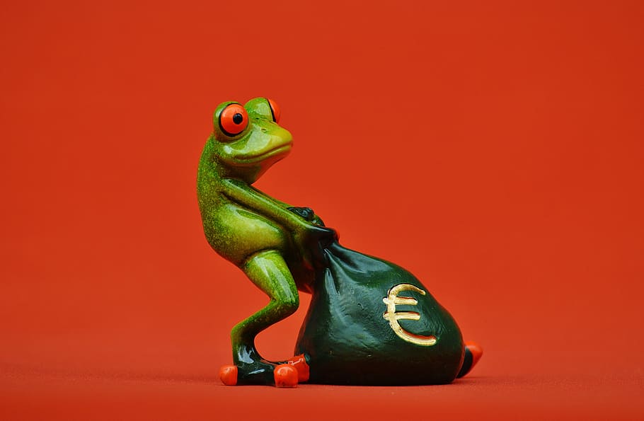 frog-money-euro-bag.jpg