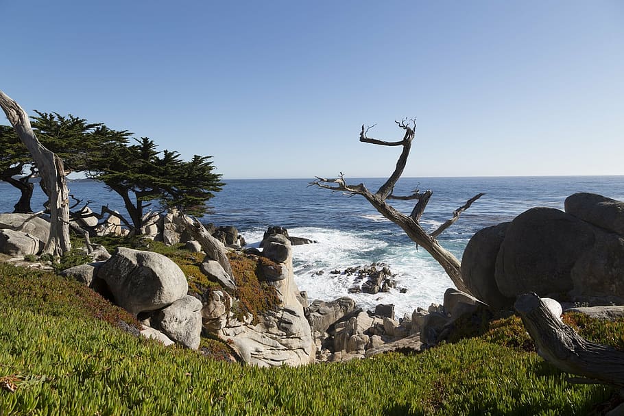 pacific ocean, shore, rocks, waves, scenic, seascape, water HD wallpaper