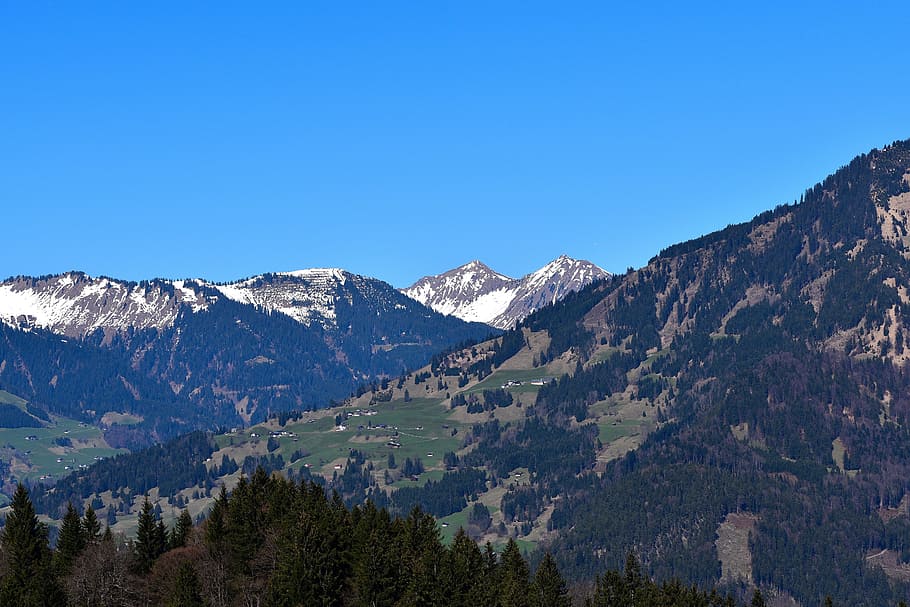 Landscape, Mountains, Forest, homes, mountain meadows, outlook HD wallpaper