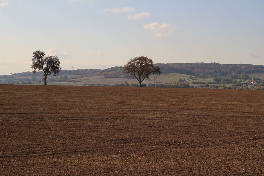 Landscape, Fields, Harvest, Nature, cereals, agriculture, summer HD wallpaper
