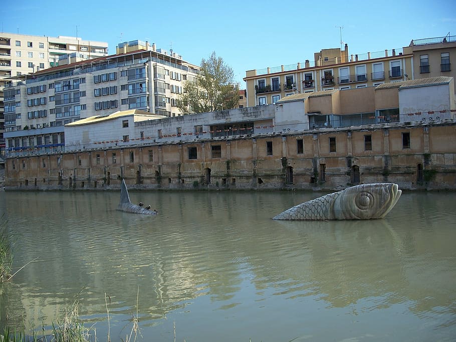 murcia, river, safe, building exterior, built structure, architecture HD wallpaper