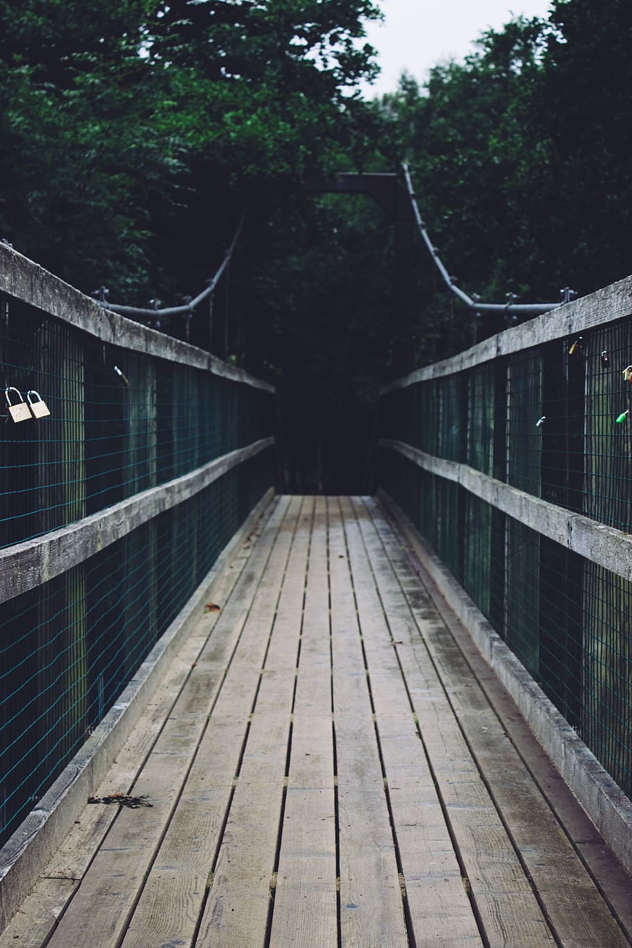 pathway, bridge, wood, wire, lock, travel, outdoor, trees, plant HD wallpaper