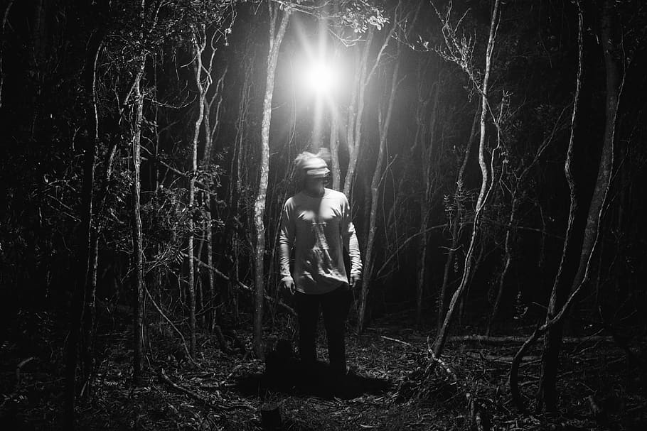Breathe - Hunted, grayscale photo of man standing beside tree during nighttime HD wallpaper