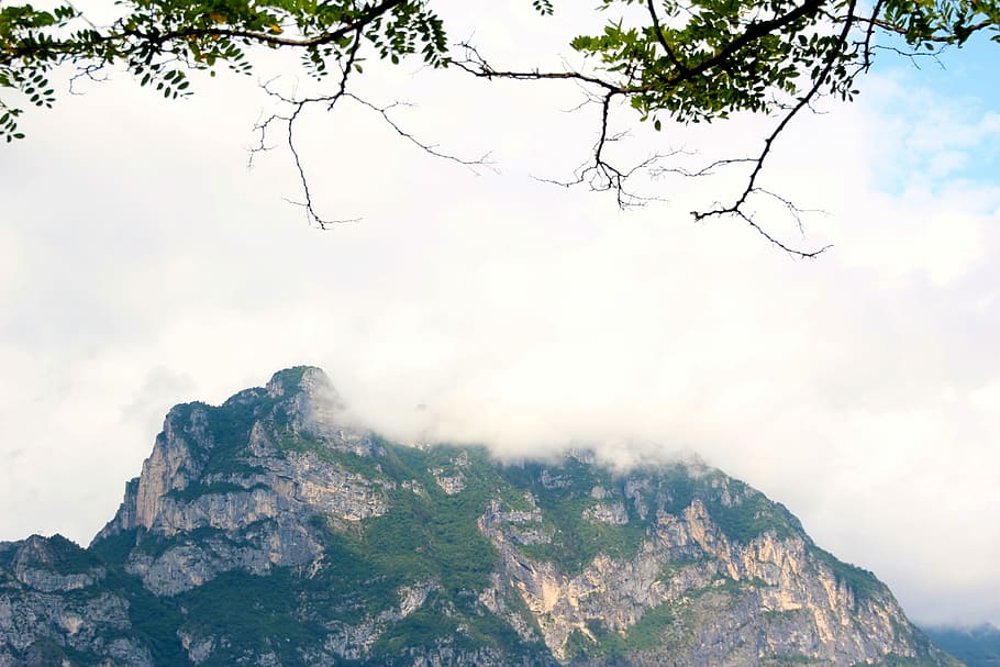 Mountain, Fog, Clouds, sky, green, nature, scenics, tree, cloud - sky HD wallpaper
