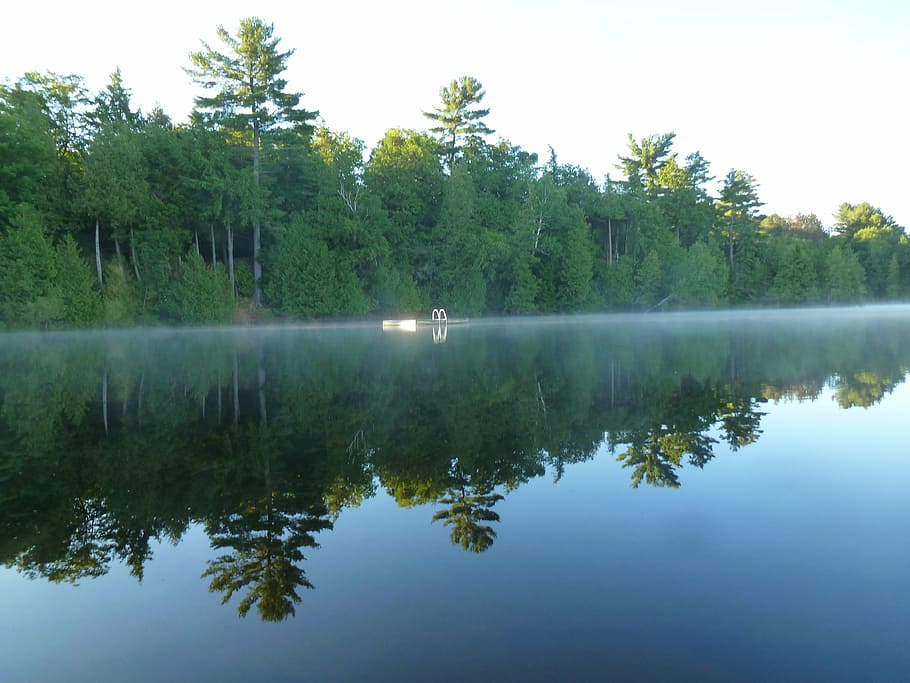 lake, reflection, still, morning, mist, swimming platform, forest HD wallpaper