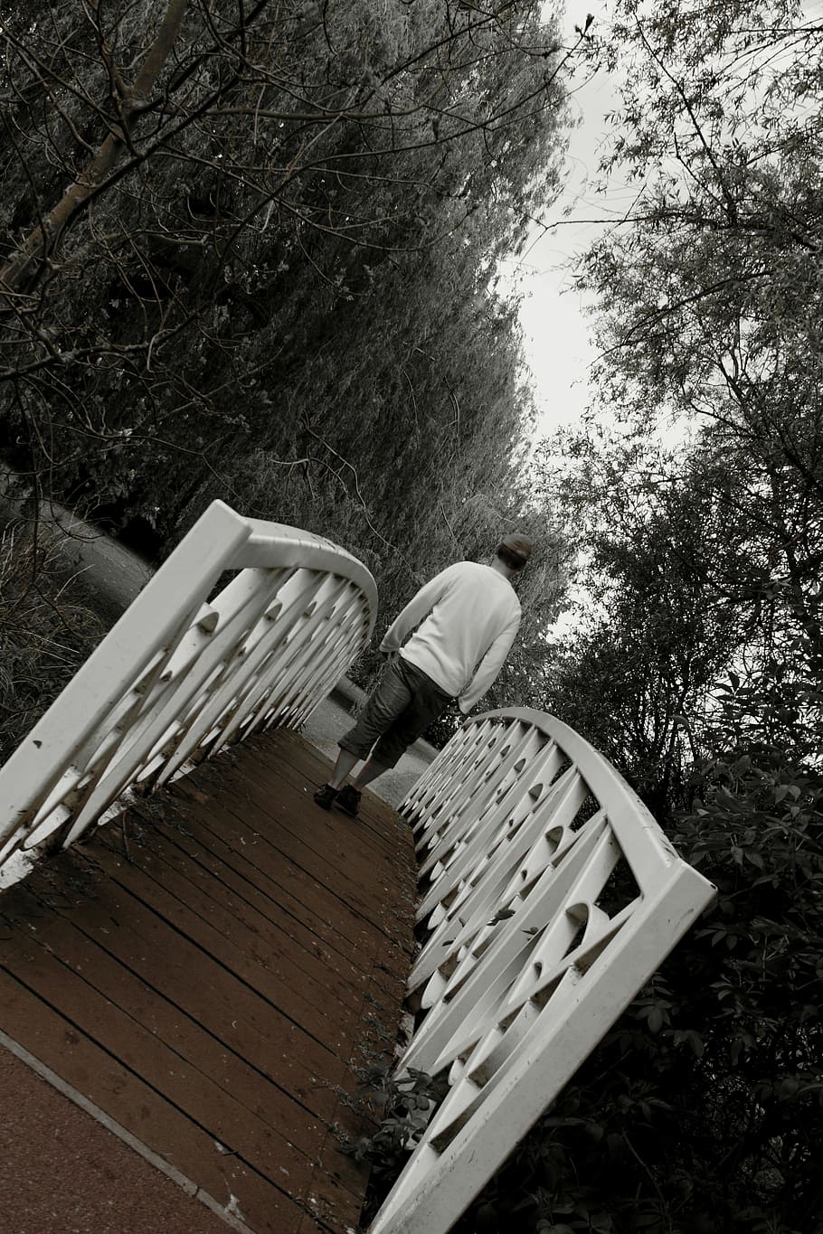greyscale photography of man walking on bridge under trees HD wallpaper