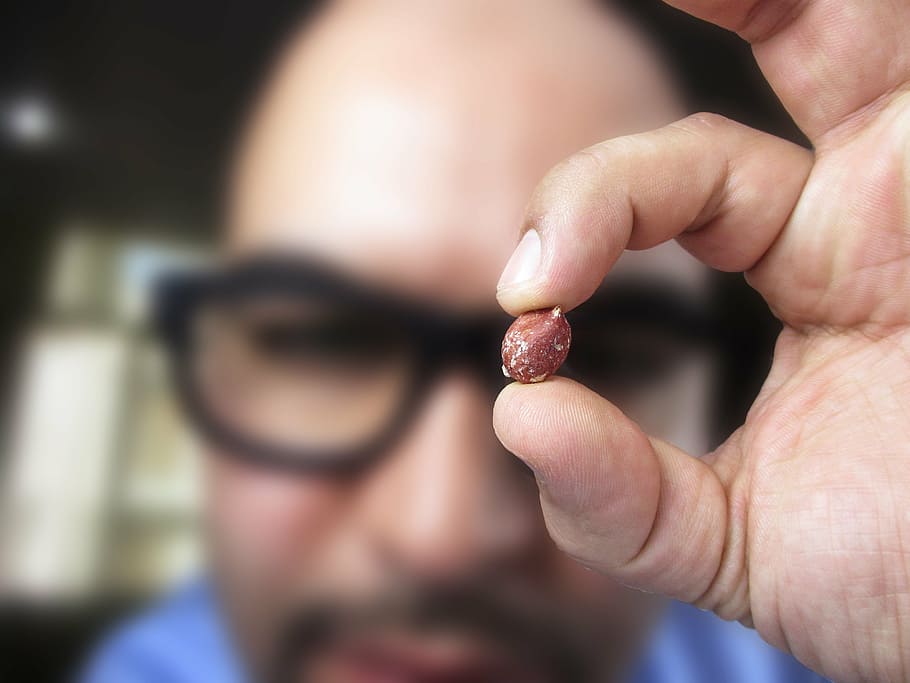 selective photography of seed, peanut, hand, vision, look, view HD wallpaper