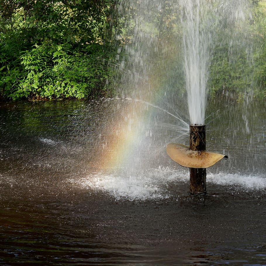 rainbow, light reflection, halo, water, motion, tree, plant HD wallpaper