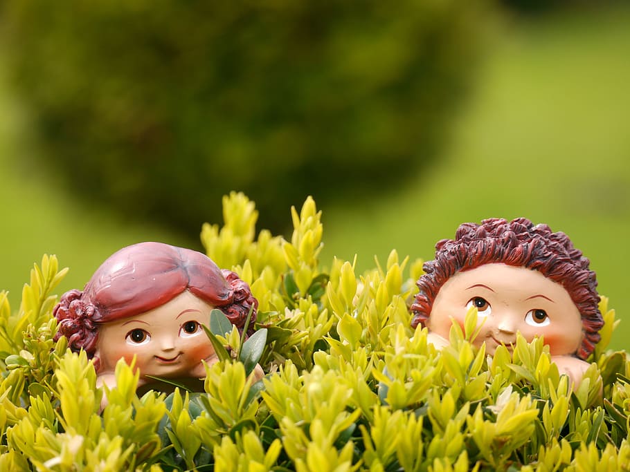 hidden, children, spring, play, decoration, plant, flower, flowering plant HD wallpaper