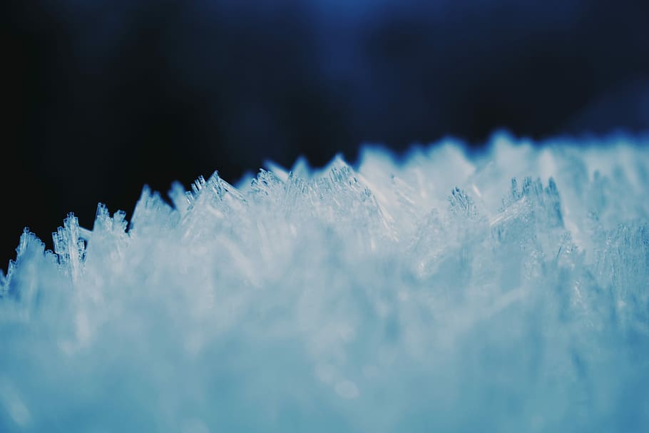 macro photography of white ice, untitled, snowflake, cold, winter HD wallpaper
