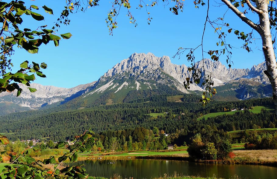 wilderkaiser, tyrol, alpine, kaiser mountains, austria, tree
