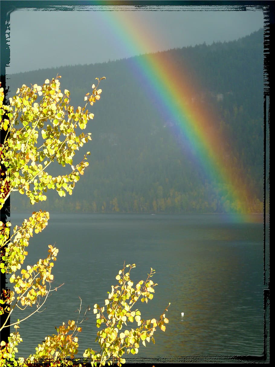 rainbow, thunderstorm, weather, frame, landscape, scenery, border HD wallpaper