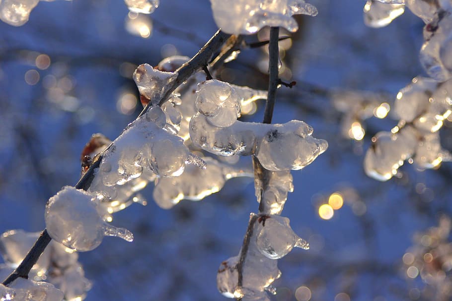 Winter, Ice, Snow, cold temperature, shiny, crystal, frozen HD wallpaper