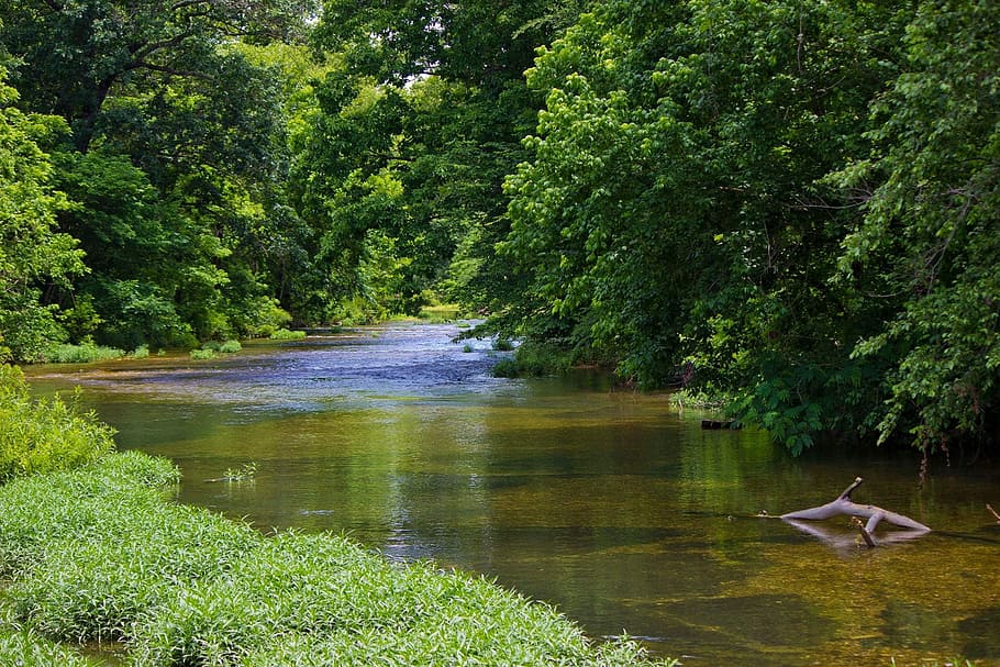 Oklahoma, Tranquil, River, Trees, picturesque, riverbank, solitude HD wallpaper