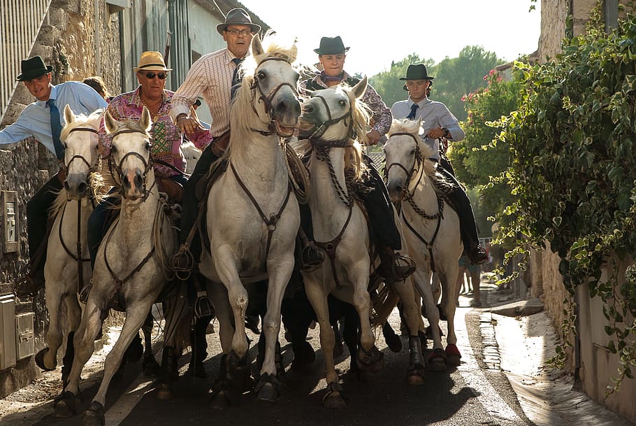 five men riding horses in the middle of buildings during daytime, HD wallpaper