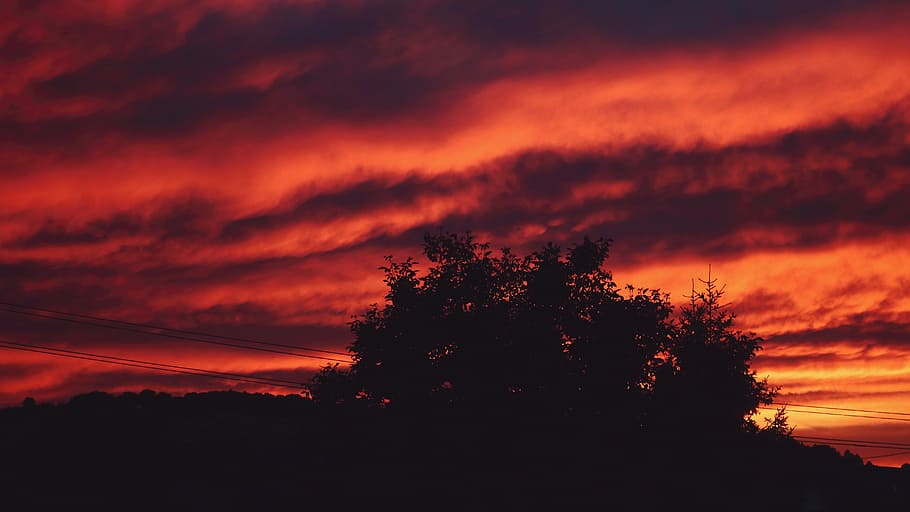 sky, red, tree, nature, evening, clouds, air, sunset, red sky HD wallpaper