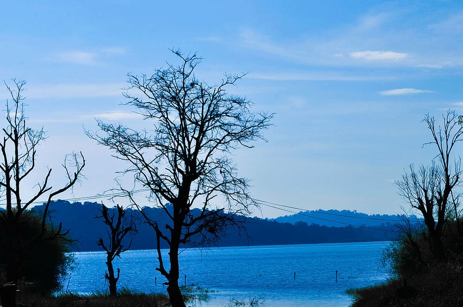 blue, sky, lakes, water, river, flowing, trees, branches, silhouettes HD wallpaper