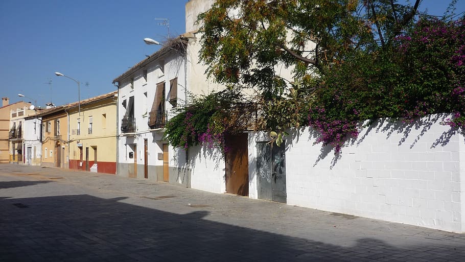 sidewalk, house, old, architecture, tree, built structure, plant HD wallpaper