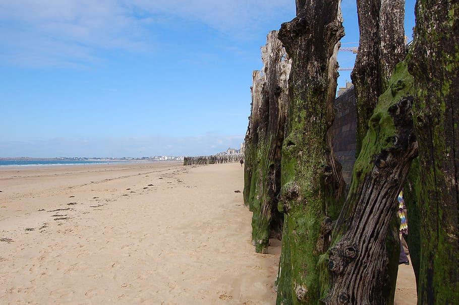 brittany, beach, sea, horizon, sand, wide, dolmen, ocean, coast, HD wallpaper