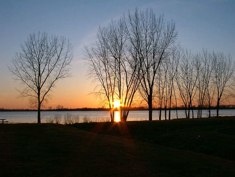 Trees, Sunset, Evening, Sun, Nature, twilight, landscape, water HD wallpaper