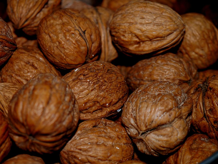 walnut, brown, nuts, food, eat, food and drink, still life HD wallpaper