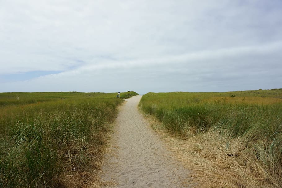 path, green, grass, field, horizon, blue, sky, clouds, landscape HD wallpaper