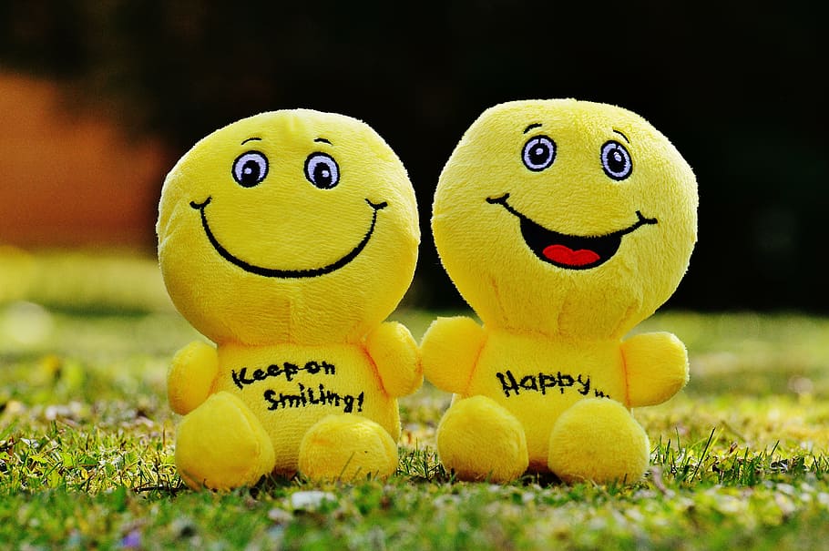 two yellow plush toys on green grasses, smiley, laugh, funny