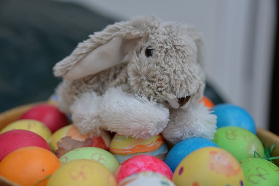 Easter Bunny, Egg, Colorful, easter eggs, paint, custom, easter decorations, HD wallpaper