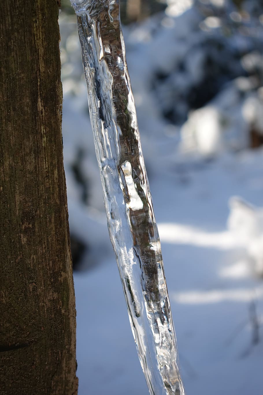 icicle, ice, frozen, winter, cold, rattling, crystal formation, HD wallpaper