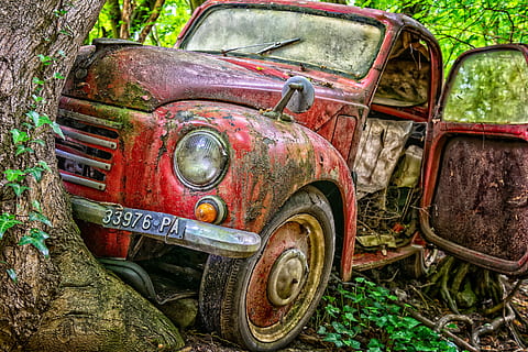 abandoned red vehicle beside tree at daytime, pkw, accident HD wallpaper