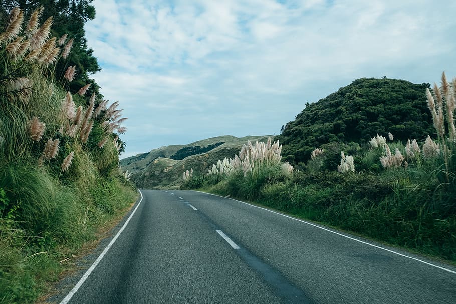 nature, landscape, roads, path, street, slope, bushes, wild HD wallpaper