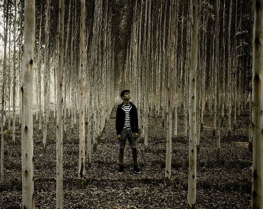man standing in the woods, man in black jacket standing near trees HD wallpaper