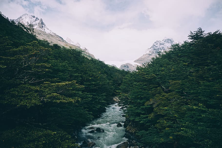 river between trees during daytime, river between forest during cloudy sky HD wallpaper