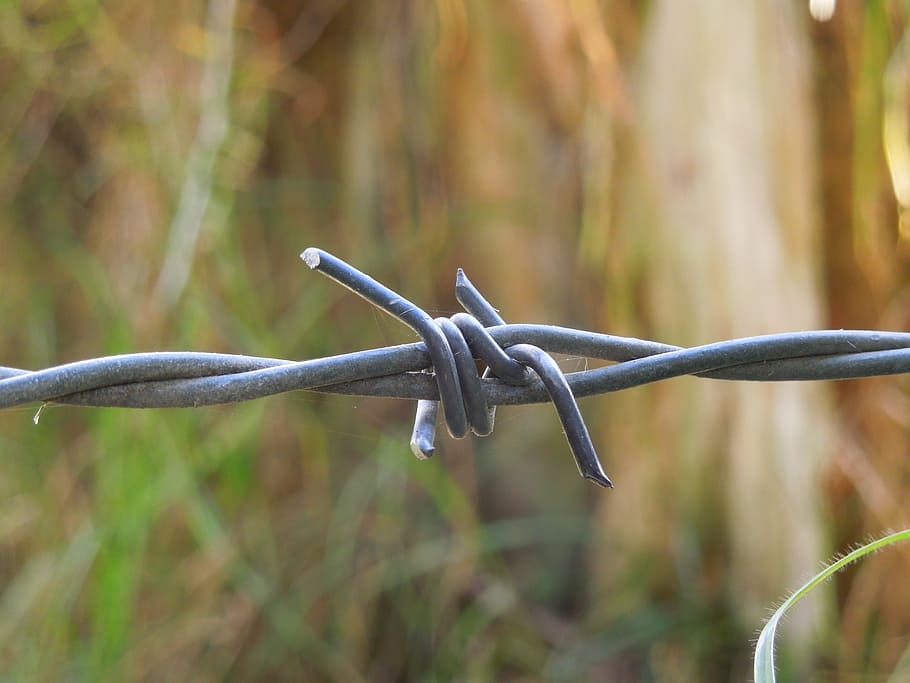 Barbed Wire, Close Up, Macro, Blurry, metal, protection, safety HD wallpaper