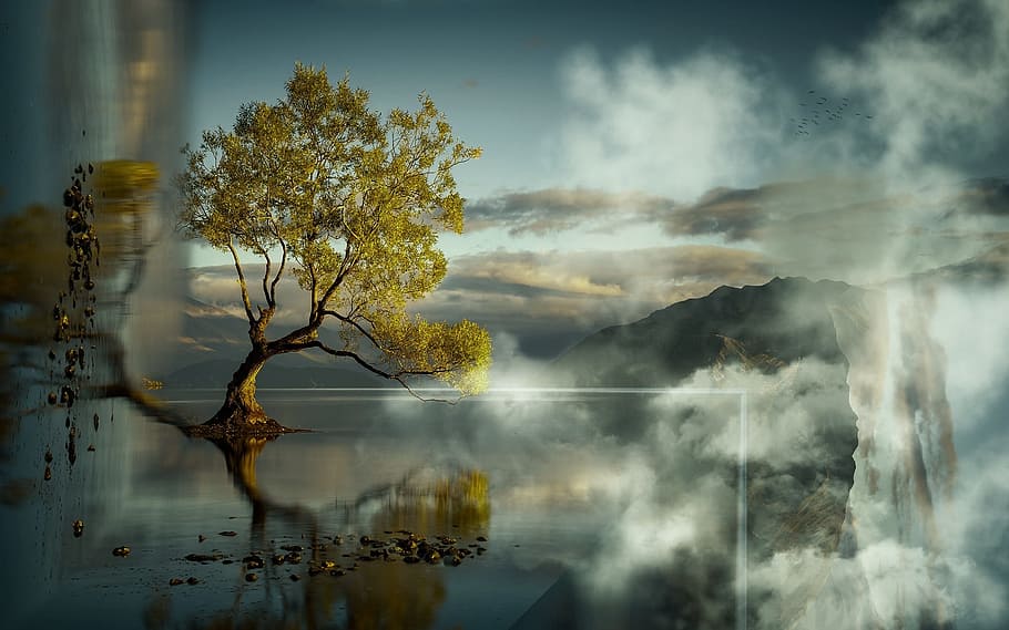 tree on body of water painting, beautiful, lone tree, scenic HD wallpaper