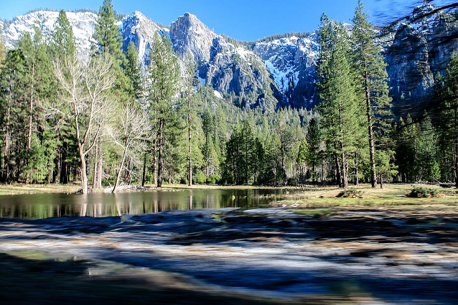 calm body of water near trees and mountain, yosemite, mountains