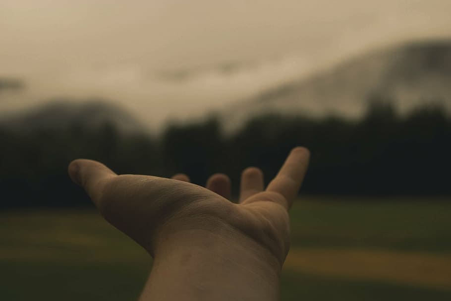 shallow focus photography of person's hand, hold, reach, place, HD wallpaper