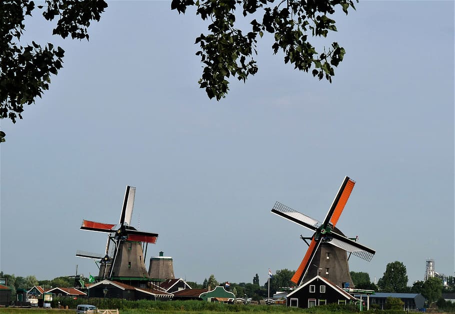 netherlands, windmills, amsterdam, sky, tree, plant, nature HD wallpaper