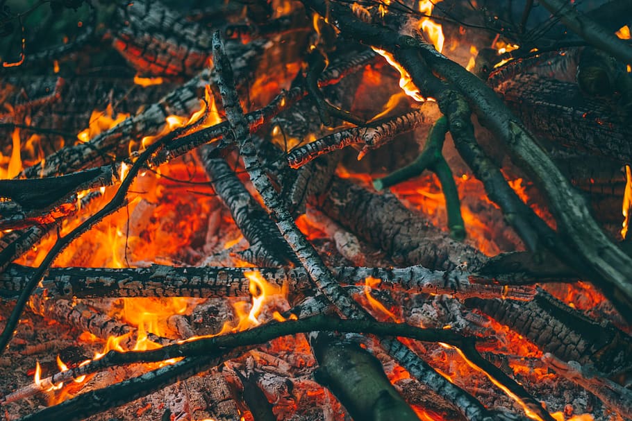 ash, bonfire, burn, burning, campfire, ember, firewood, flame HD wallpaper