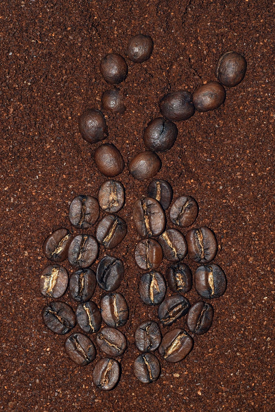 coffee, cafe, beans, drink, benefit from, coffee beans, pattern HD wallpaper