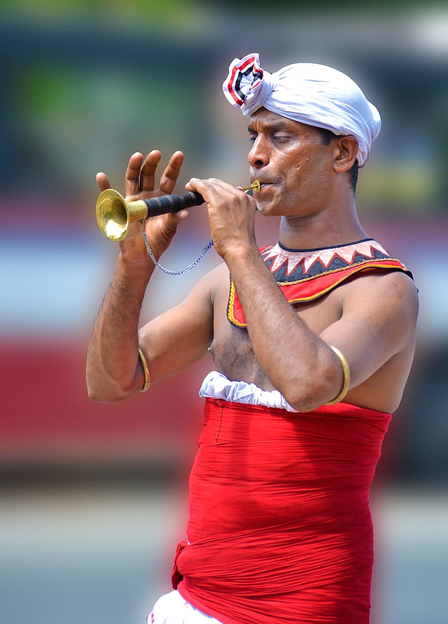 man playing brass flute at daytime, parade, local trumpet, musician, HD wallpaper